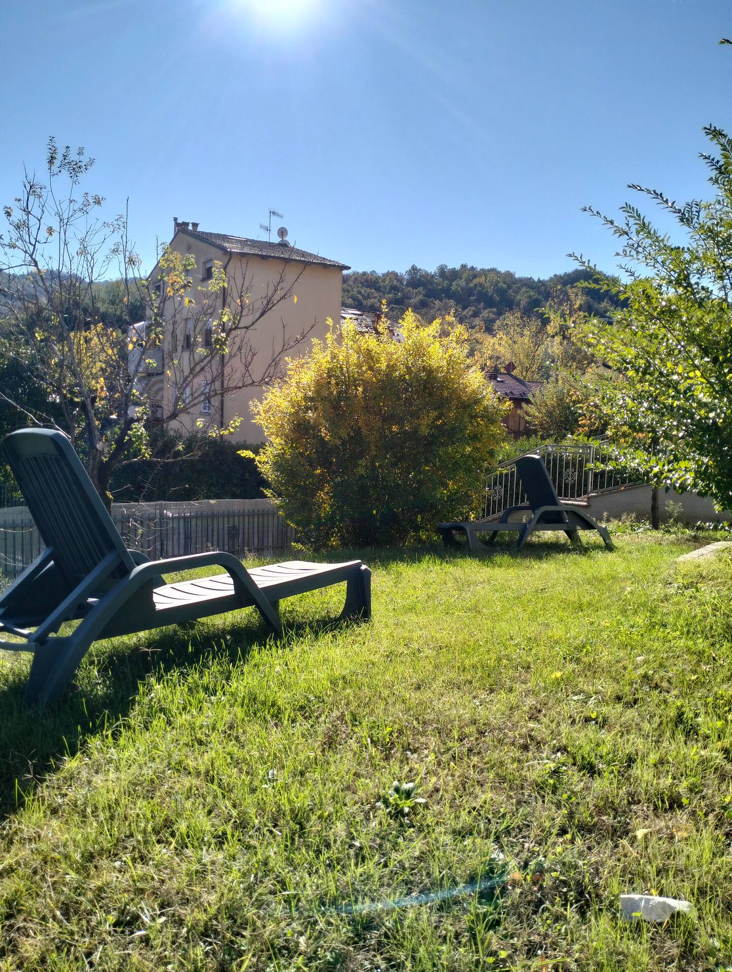 Sun loungers on the sunlit lawn
