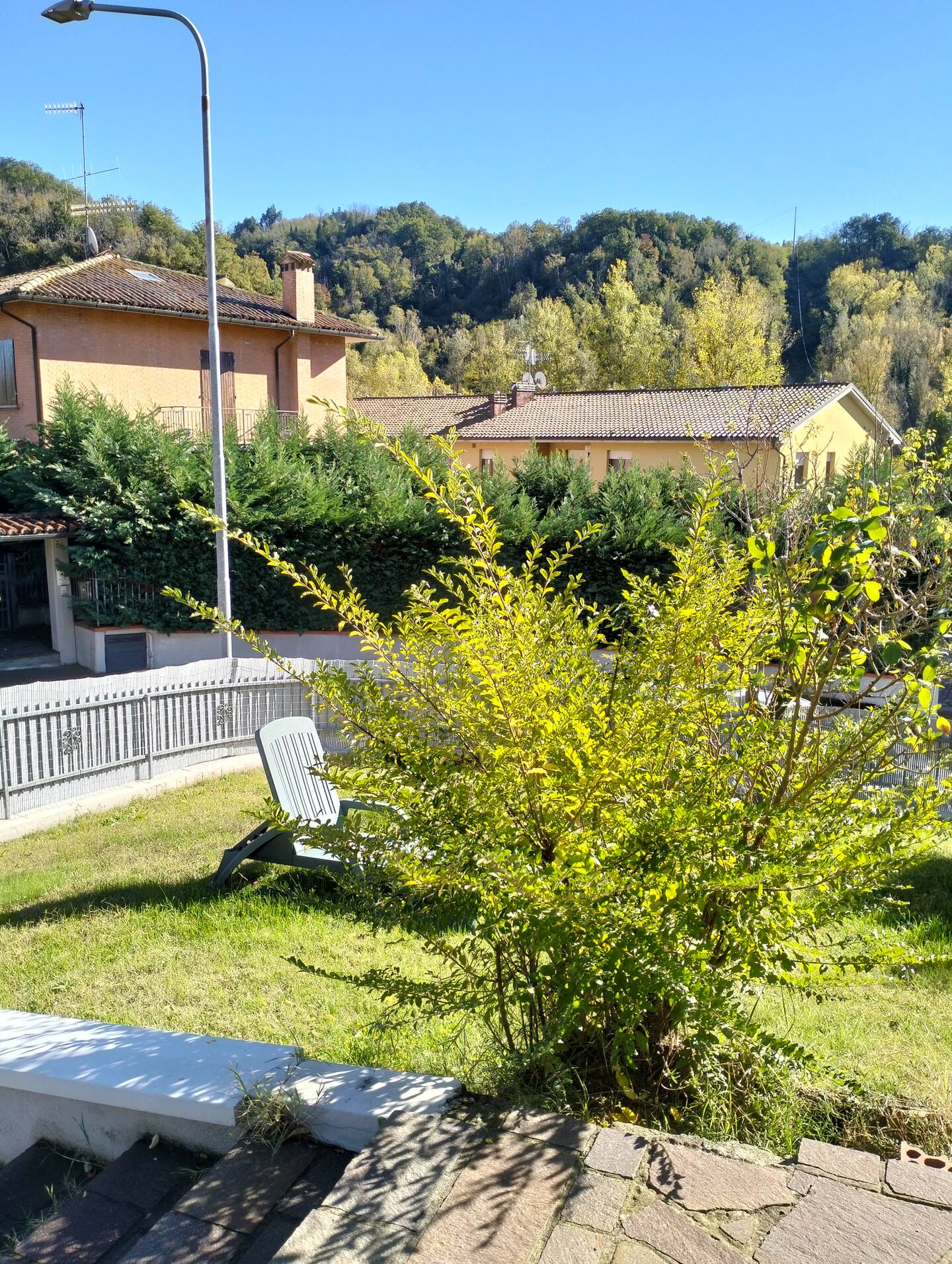 The garden with flowering plants and the hills behind