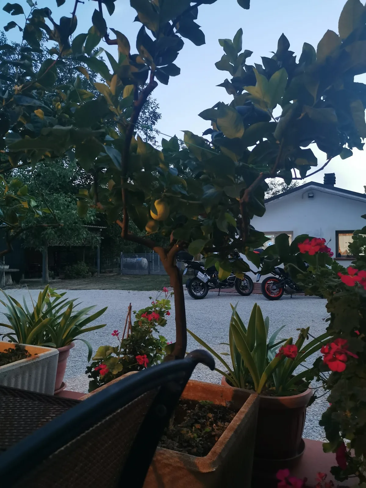 Il piazzale ghiaiato del B&B al tramonto con le moto parcheggiate, tra alberi di limone e gerani